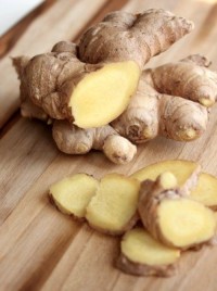 Ginger