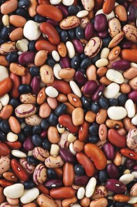 Kidney beans