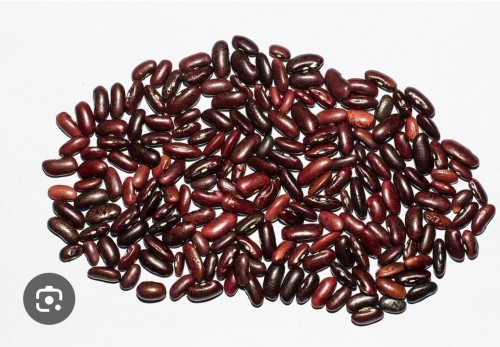 Kidney beans